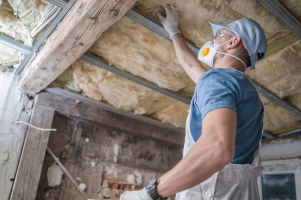 Best DIY Insulation Kits and Guidance in Flora, IL
