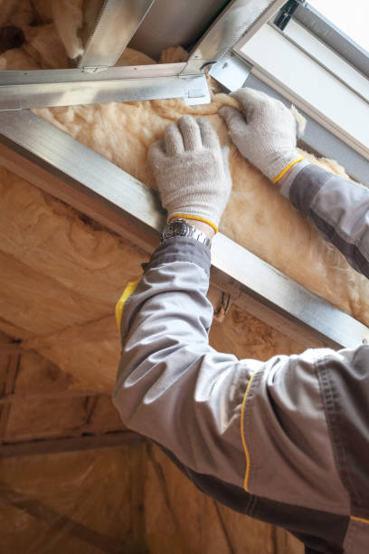 Best Cellulose Insulation in Flora, IL